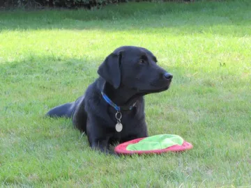 5232D9F6-36CB-4DA3-9435-F604EDEF4E71