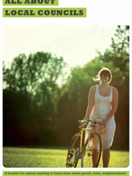 All Abount Local Counils