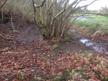 Margin From Field Side At Junction