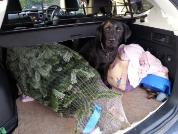 Image: 20191211_144752