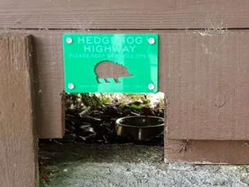 Sean_Hill_1_edit (1)