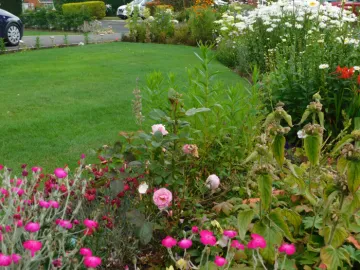 Image: 2019-07-13_15-29-51