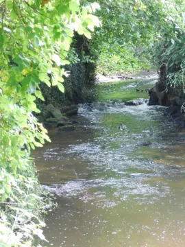 stream in chriss garden
