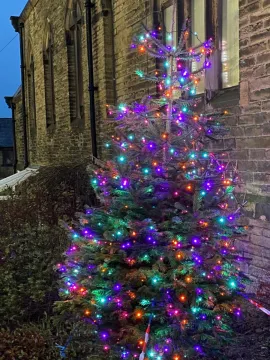 Tree Lightlng 5