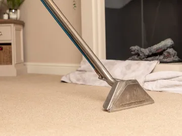 Hot Water Extraction