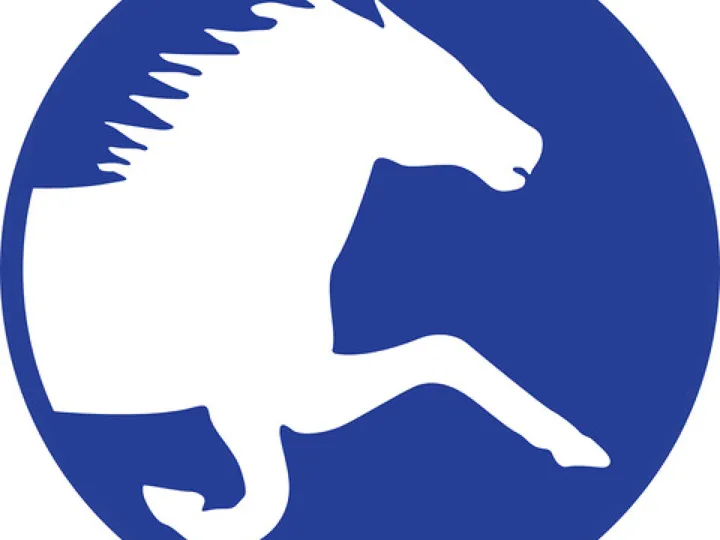 Horse Icon