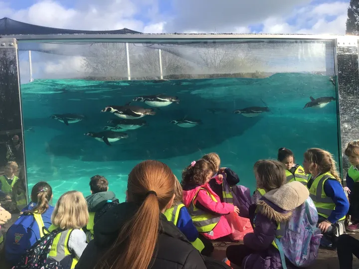 097fac18-25e9-4f34-9aa5-75cde1e5a0a0