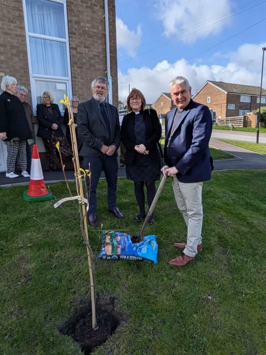 Tree Planting