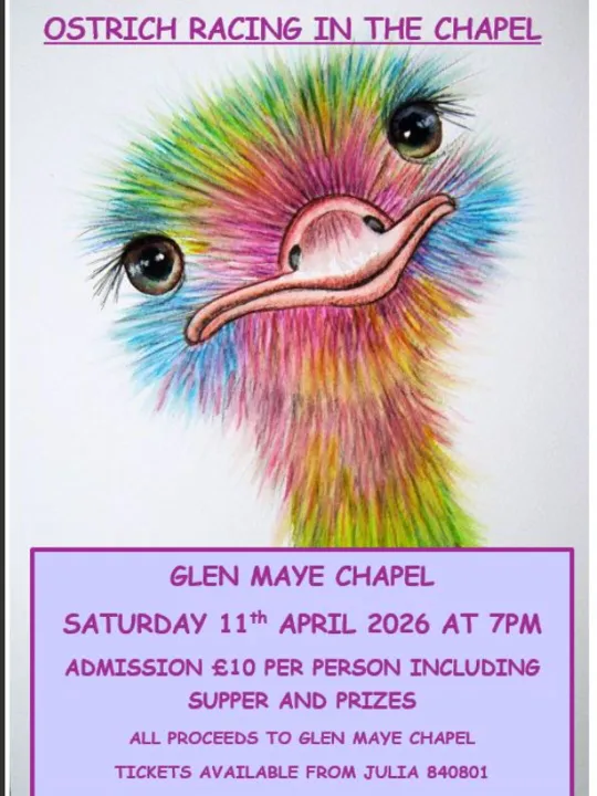 Glen Maye Ostrich Race