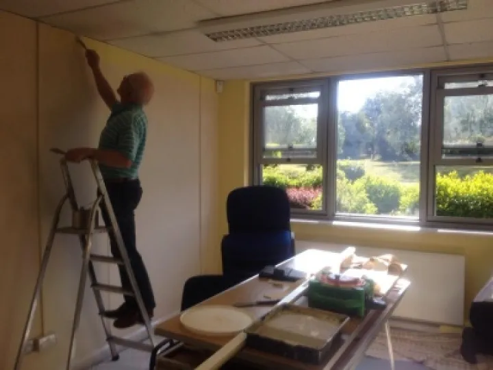 Small room painting BH