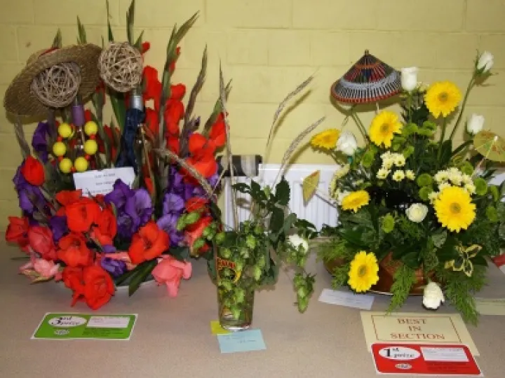 IMG_5332_edited-1 1000