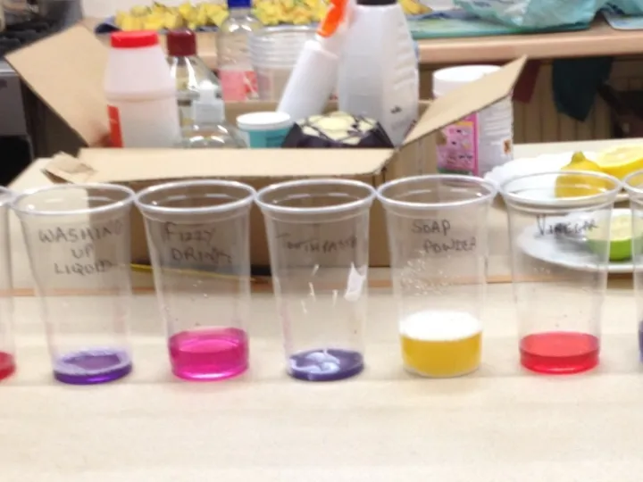 Brownies cabbage juice experiment