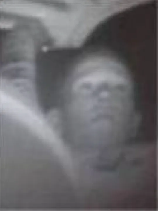 Catalytic Converter Thief