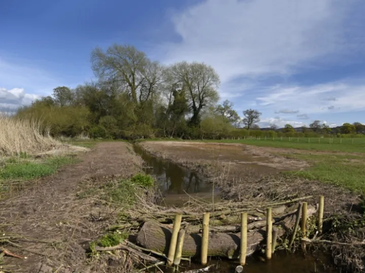 Mill Brook Wetland April 2nd 2016 Web copy