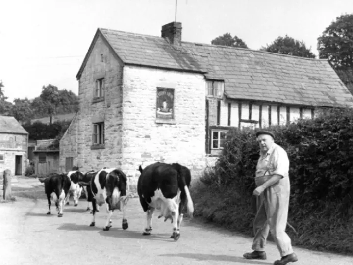 e91291d0cee55a1e4b919edf3bbc357193758da4