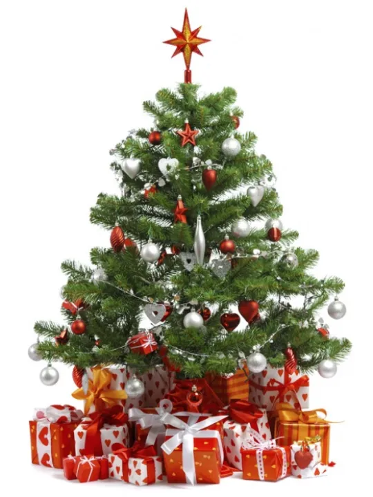 IMAGENAME-136394329639102301