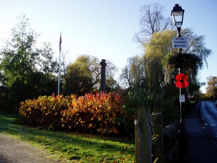 November Sunshine (2)