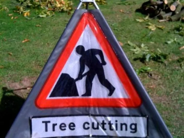 tree-surgeon