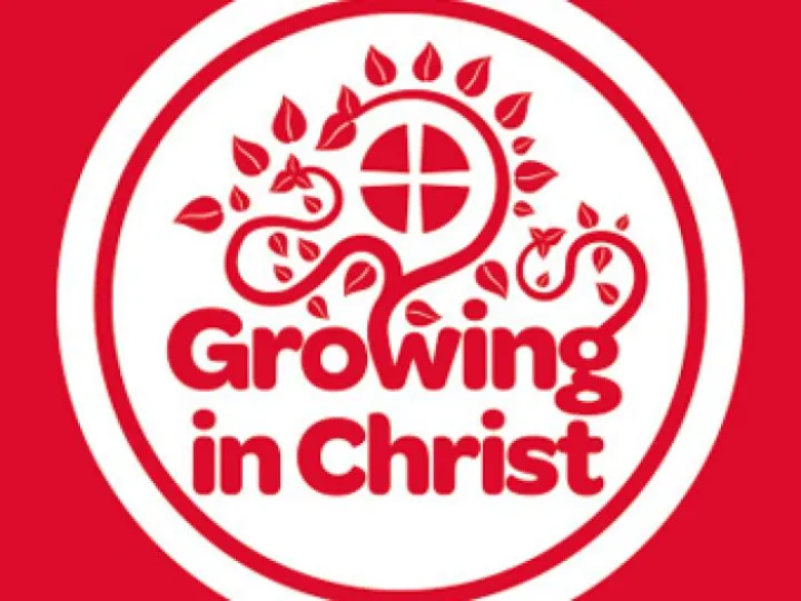 Circuit logo white on red square