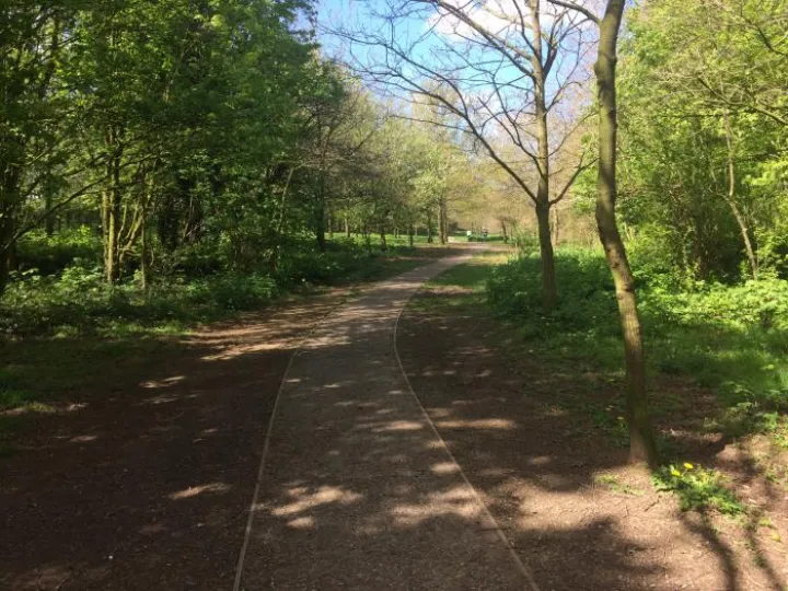 April 2017 Tarvin Woodlands Grogans Walk