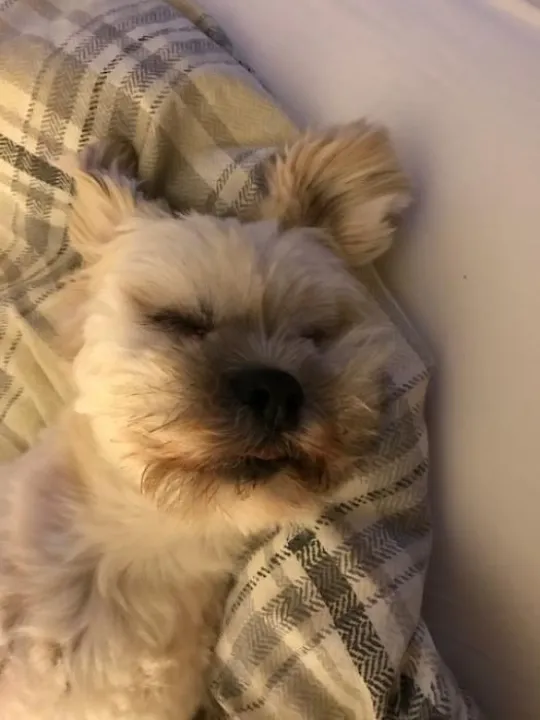 82828ABF-CF5A-4136-925C-6C0D5120D06B (1) &ndash; Copy