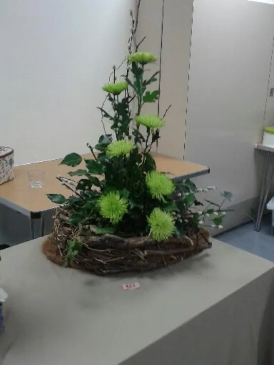 Flower Club May 2017  20170510_212343_4 (1)