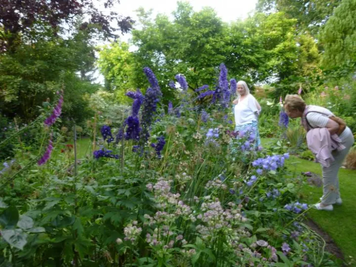 Flower Club June 2017 P1030278
