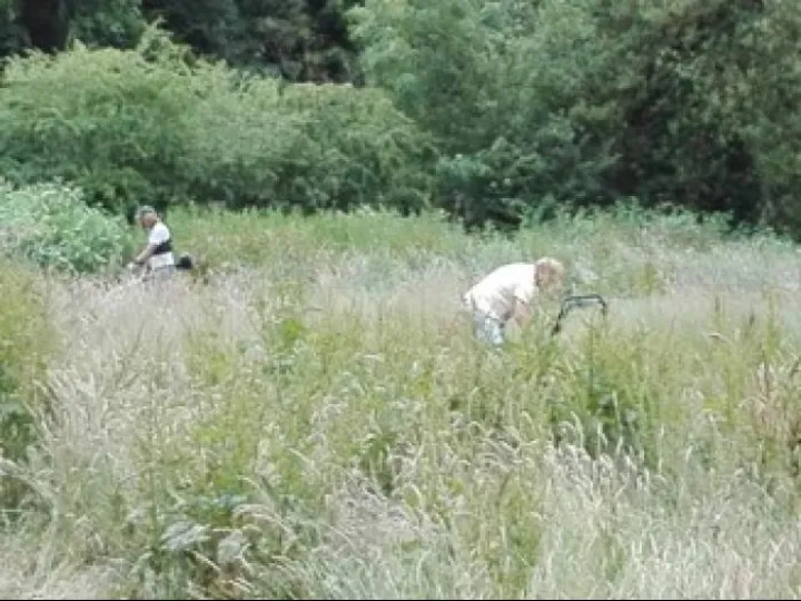 1971483CA26A4509B75D7EF01EE3E7B1