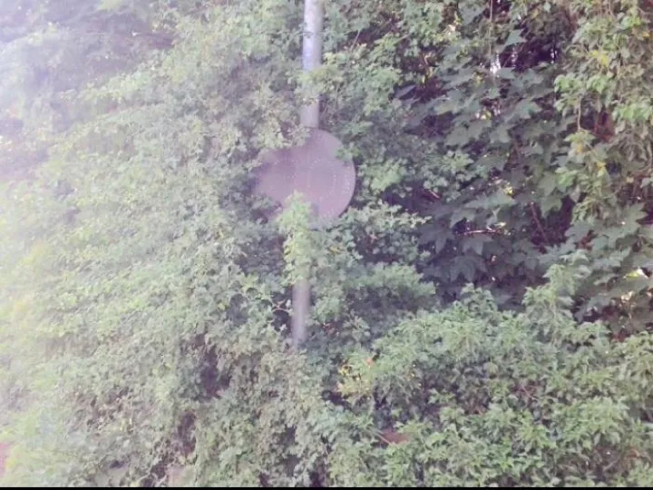 30mph Sign &ndash; Before