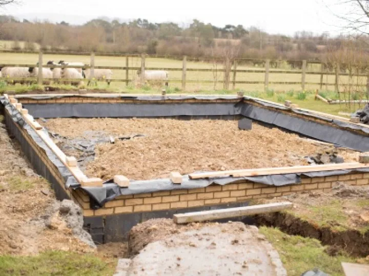 Wooly Building Inspectors