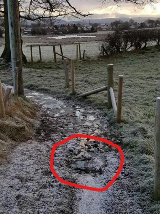 InkedWhirley path 2_LI