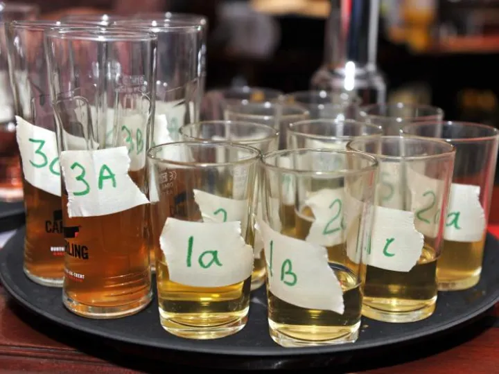 Drug Testing the Judges