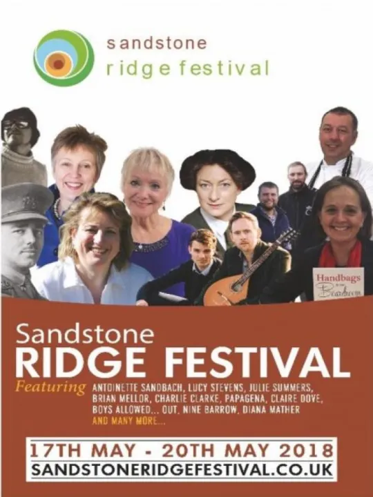 Ridge festival poster