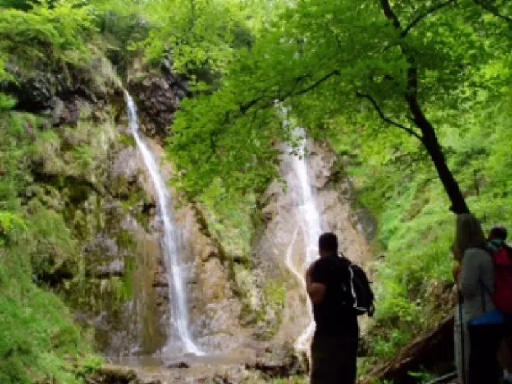 24 May  Grey Mare 39 s Tail