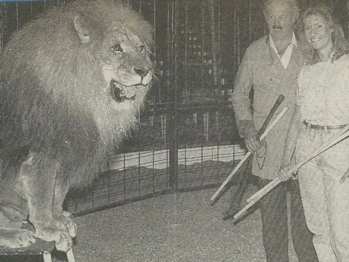 In the Lion's Cage &ndash; Scan_20180610 (3)