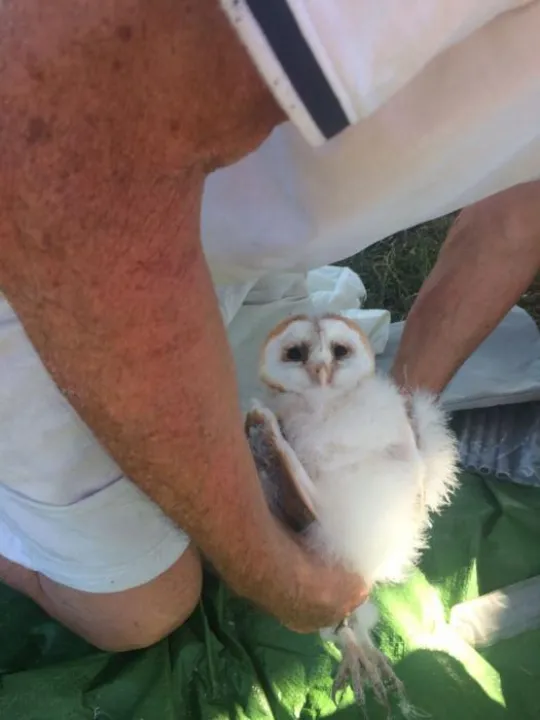 6e18f85b-28d1-4ba8-8016-b2f194fe0b81