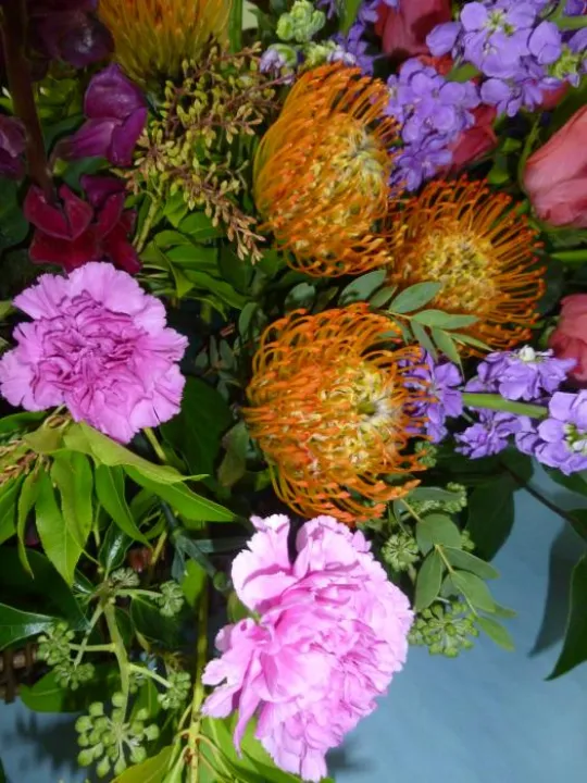 Flower Club Sept 2018 P1030585