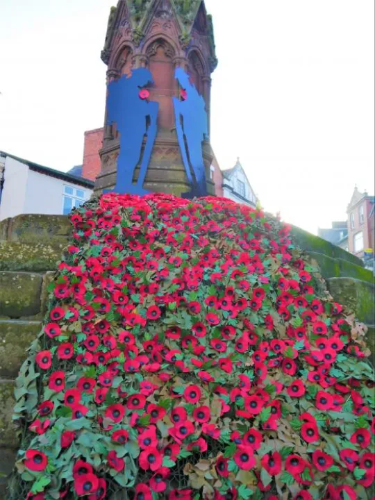 memorial poppies 2