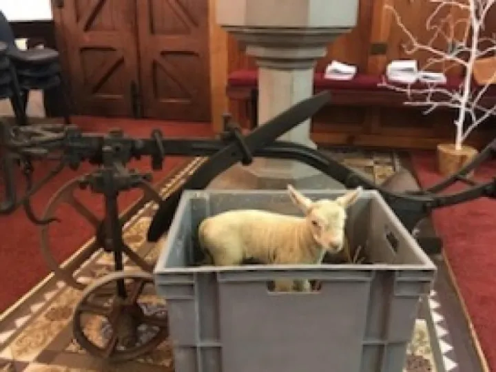 Plough Lamb Service