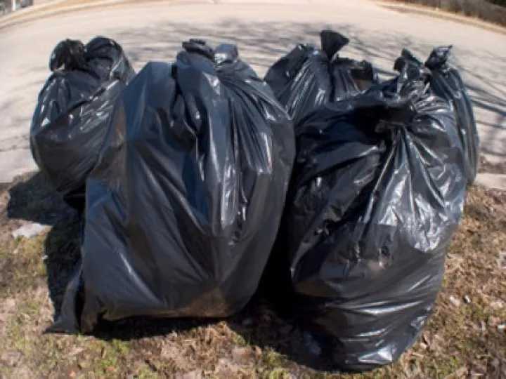 Bags of Rubbish