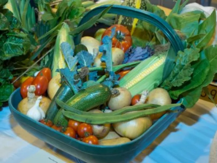 Haddenham's Annual Show 14