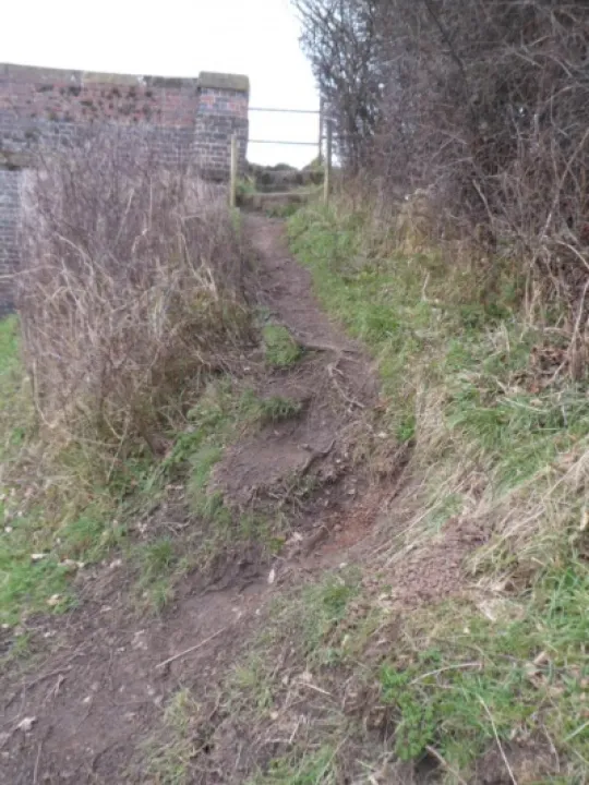 Canal towpath renovations (13)