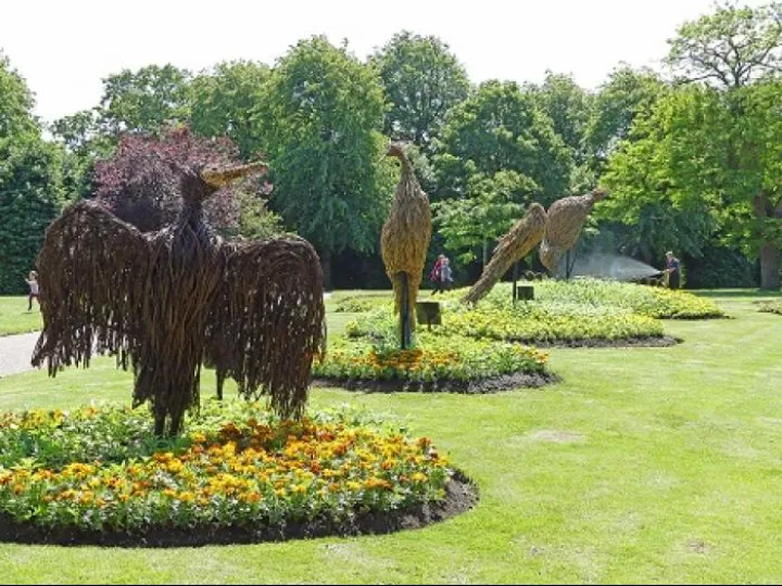 Grosvenor Park Birds 1