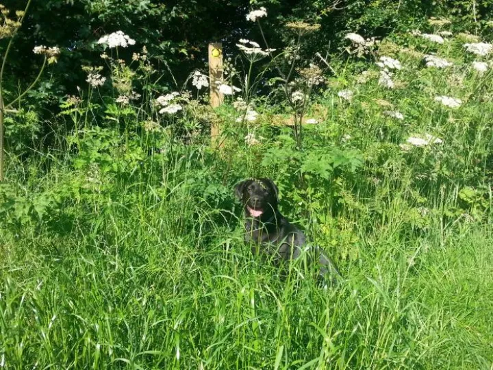 Image: 20190627_085244