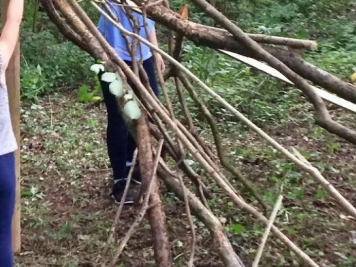 https___cdn-evbuc-com_images_69906793_221625633266_1_original