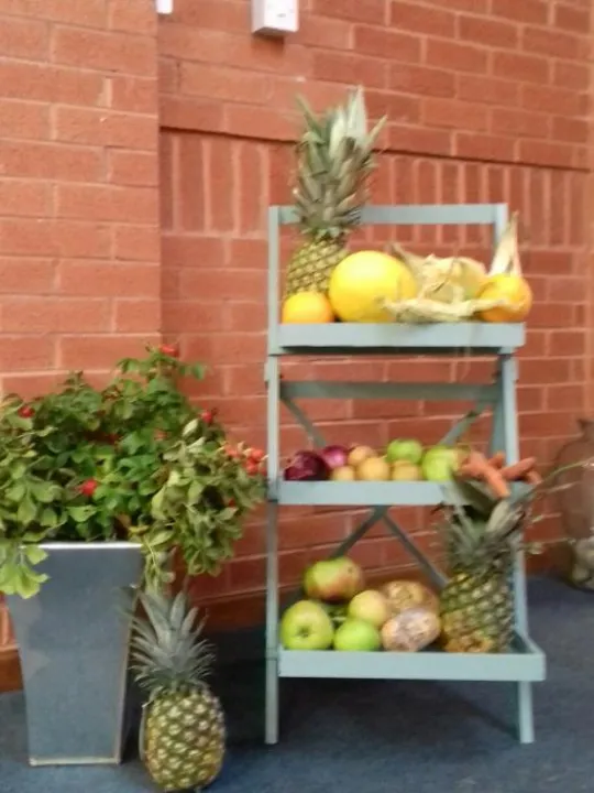 Image: 20191006_104708_resized