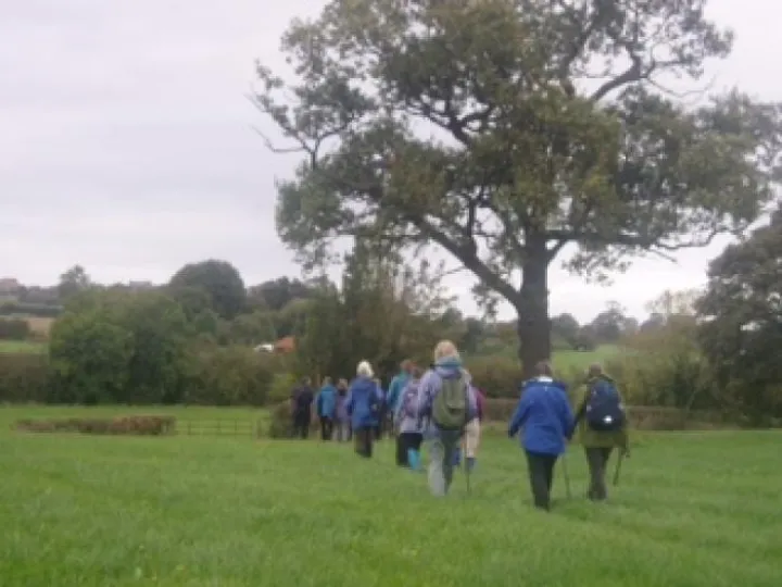 U3A Wrenbury Walk jpg