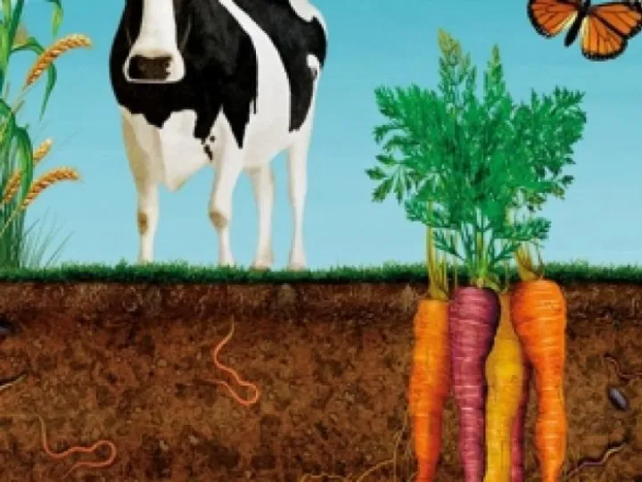 D0E8D04A-F349-455A-89F7-5037C4FEC2C1