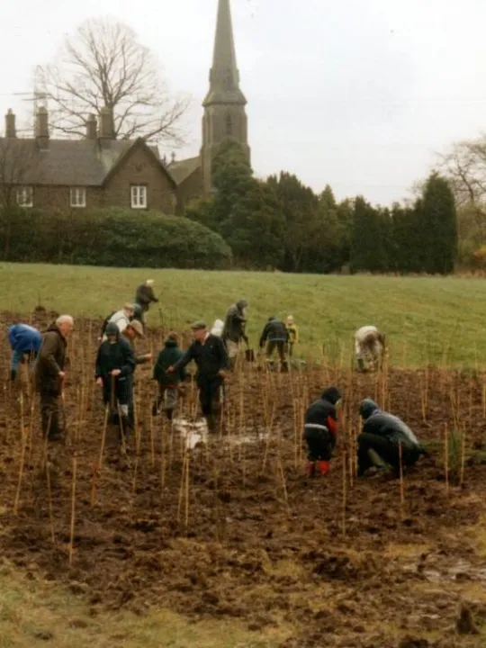 TreePlanting1999