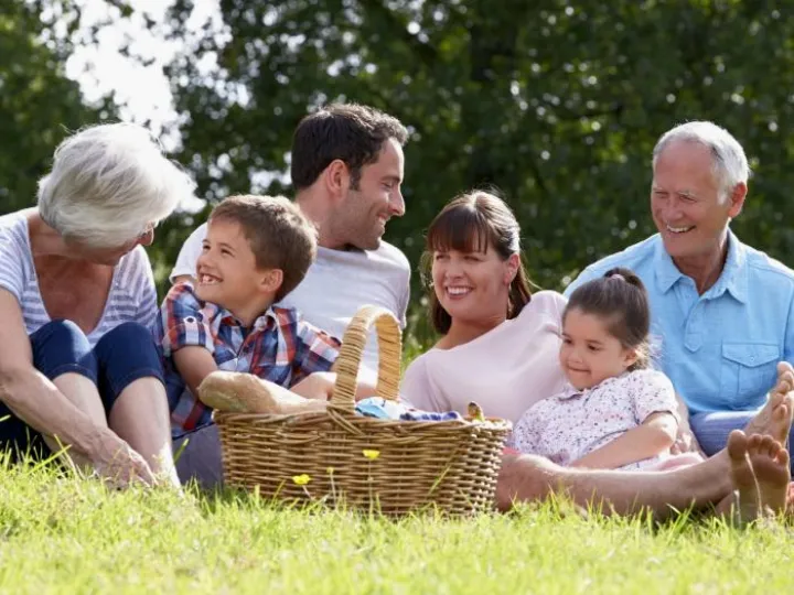 Picnic basket